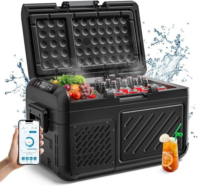 Car Refrigerator